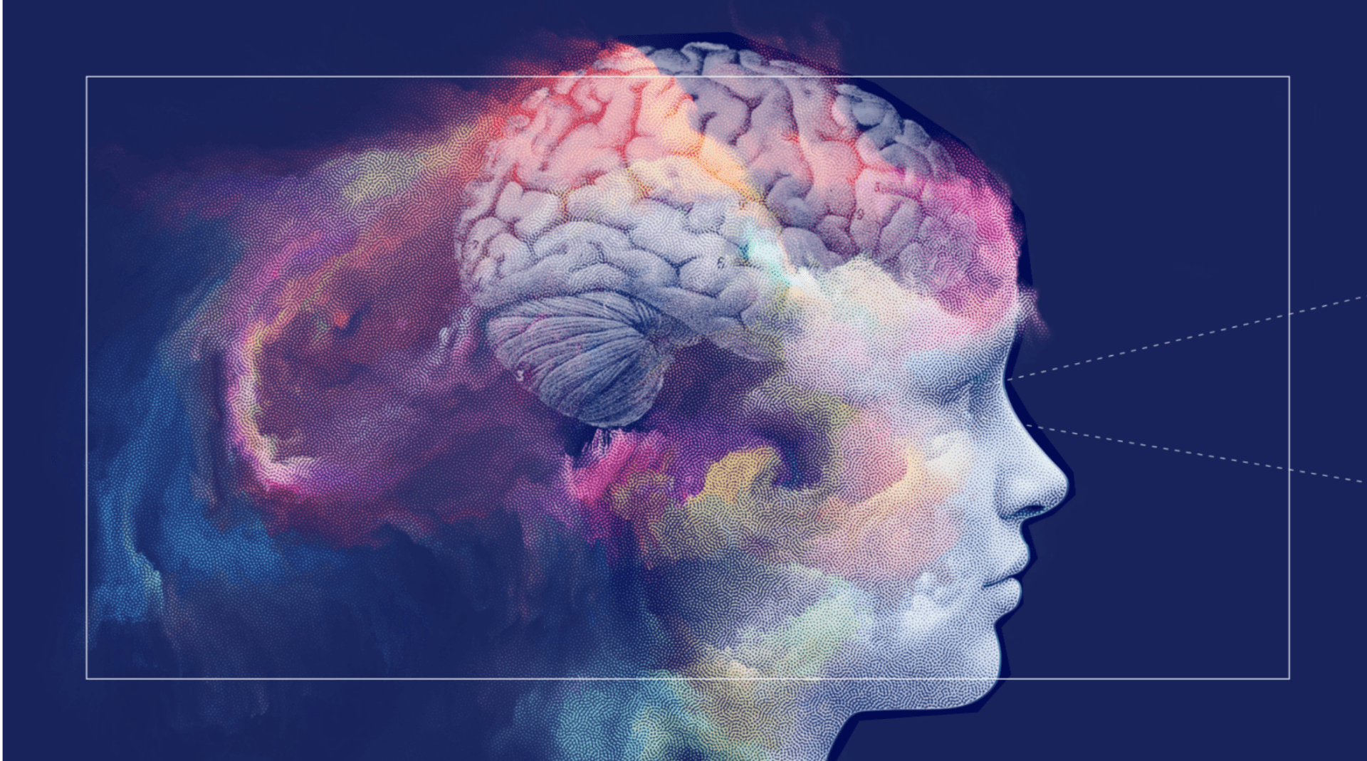 Neurociência e emoções: como entender melhor nossos sentimentos